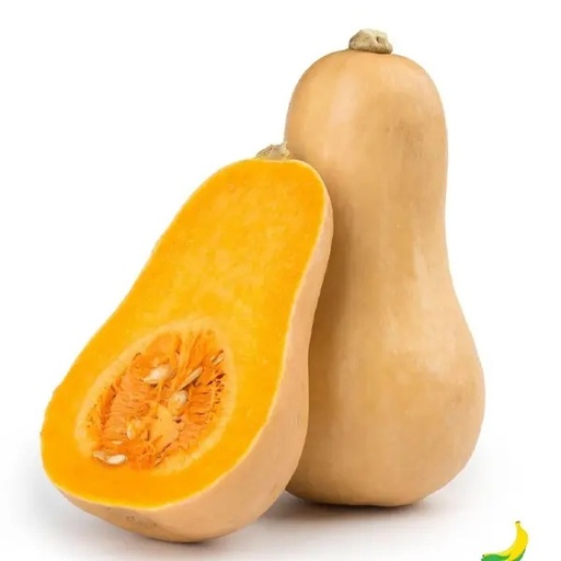 Zucca Violina