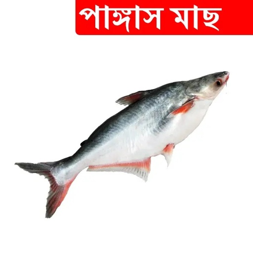 1.5kg +/- Pangash Fish