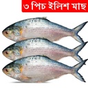 3pcs Hilsa Fish