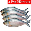 4pcs Hilsa Fish